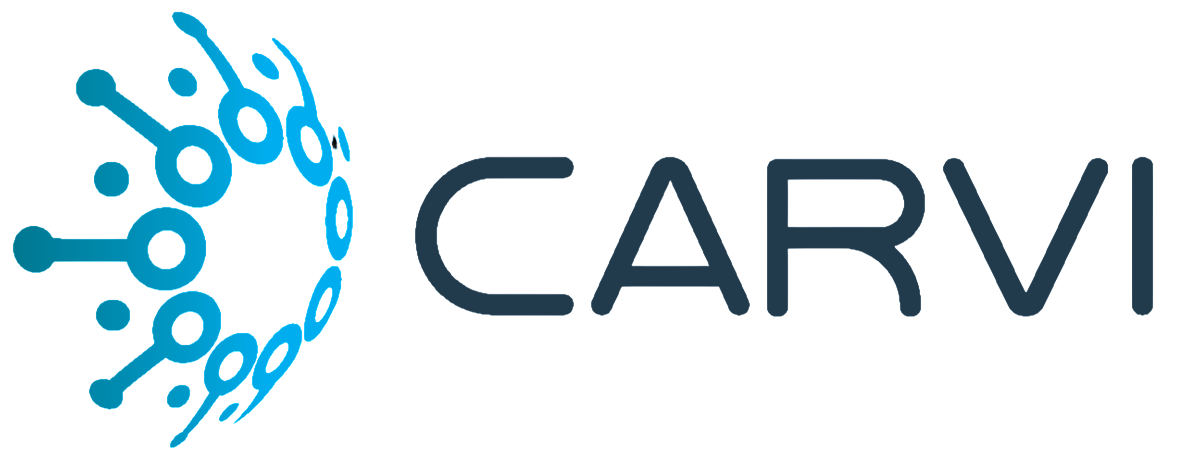CARVI Co., Ltd.